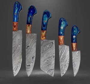 5 Pieces Handmade Knife Set, Hand Forged Chef Knives Kitchen Set Damascus Steel Knives Gift for Her, BLUE Solid Wood Handle
